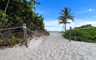 Best Beaches in South Florida